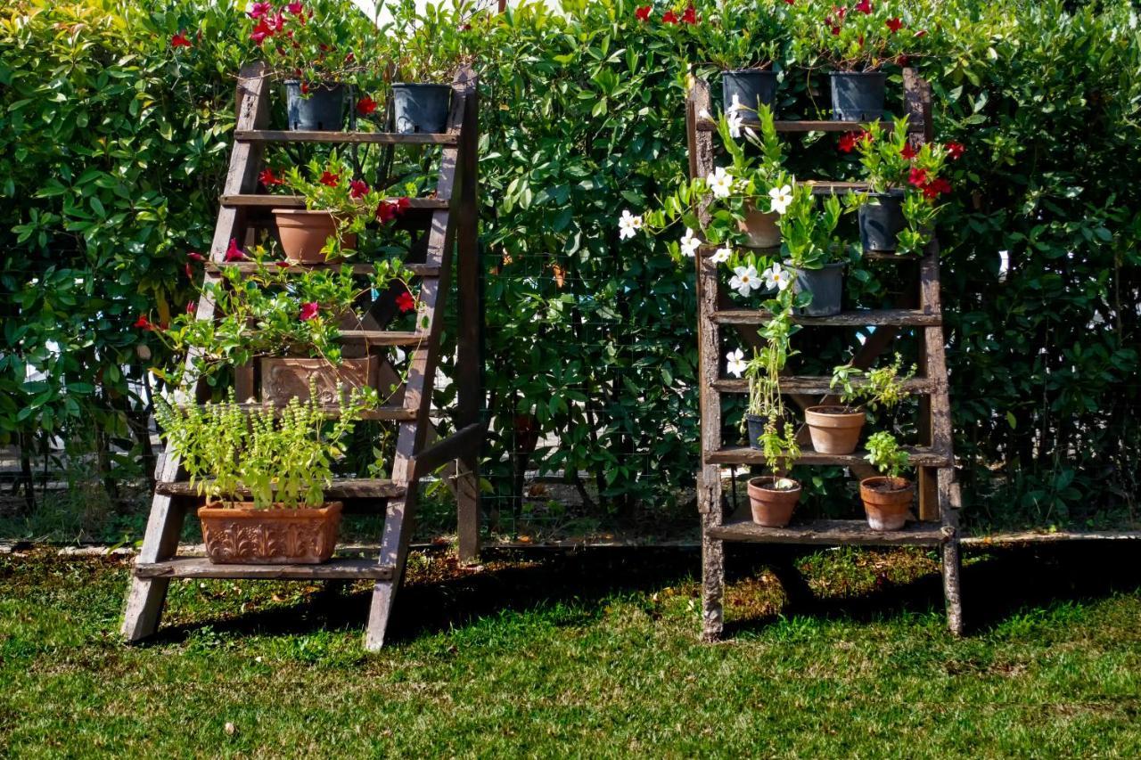 Tenuta Di Ghizzano Resort エクステリア 写真