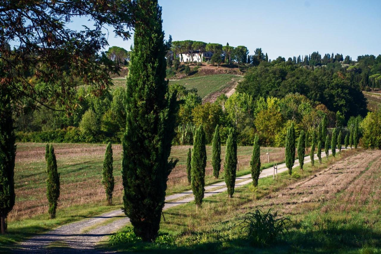 Tenuta Di Ghizzano Resort エクステリア 写真