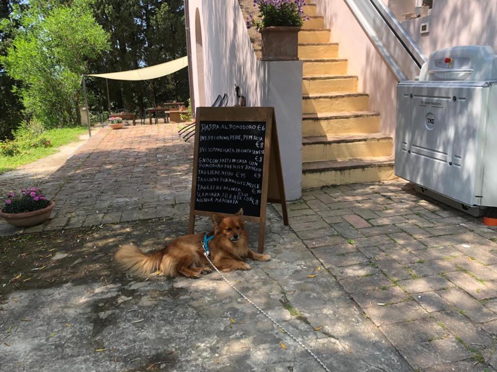 Tenuta Di Ghizzano Resort エクステリア 写真