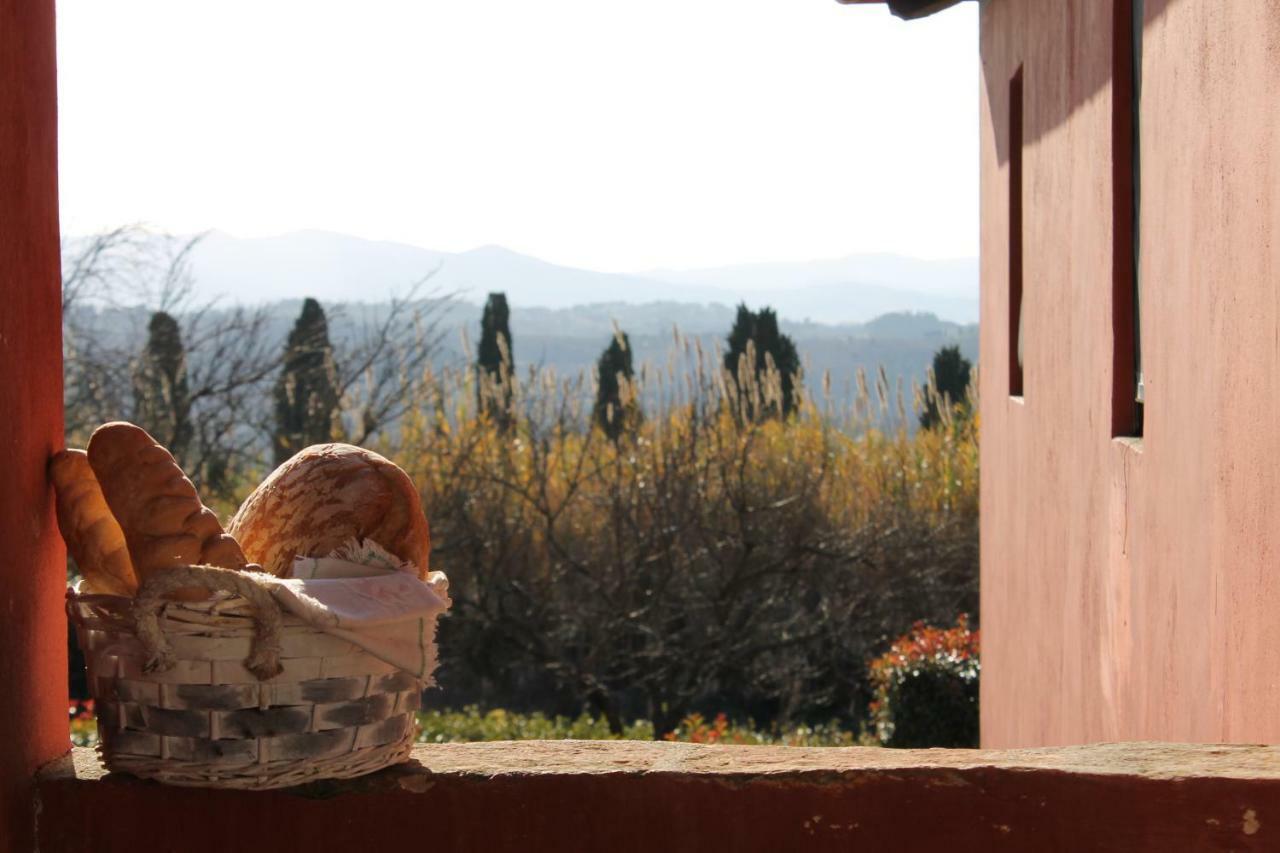 Tenuta Di Ghizzano Resort エクステリア 写真